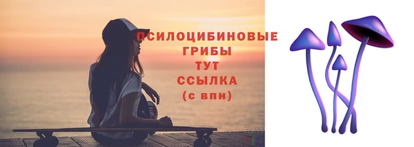 спиды Алексин