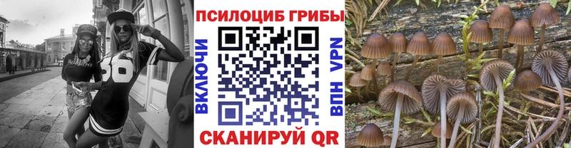 Галлюциногенные грибы Psilocybine cubensis  Купить  Татарск 